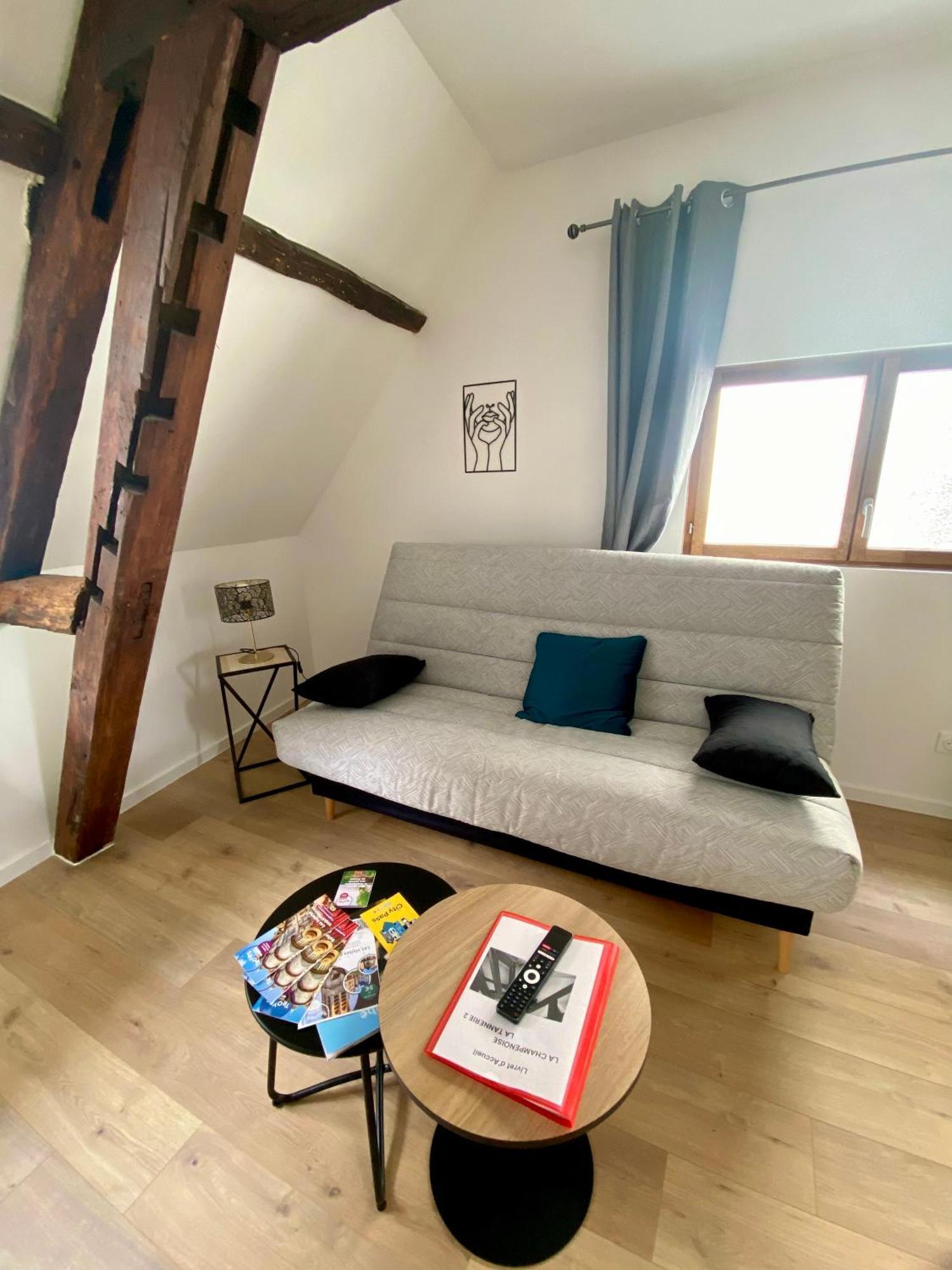 La Champenoise La Tannerie Apartment Троа Екстериор снимка